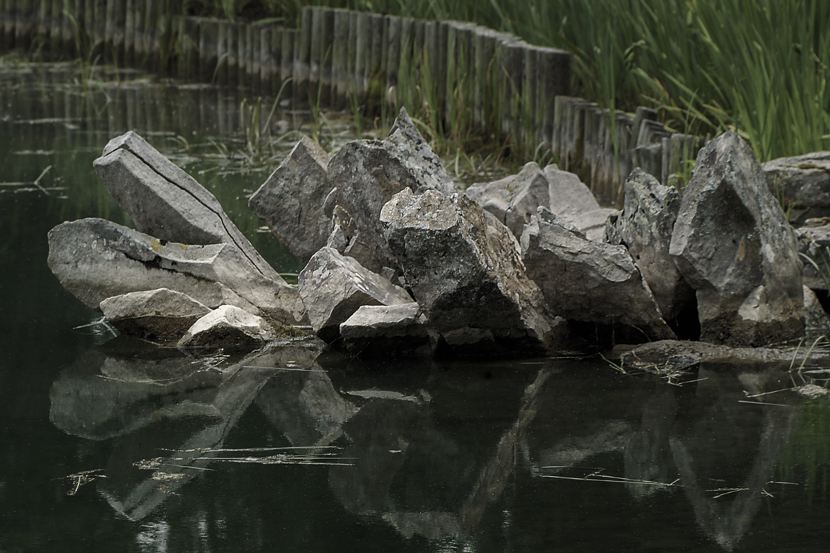 image: japanese garden